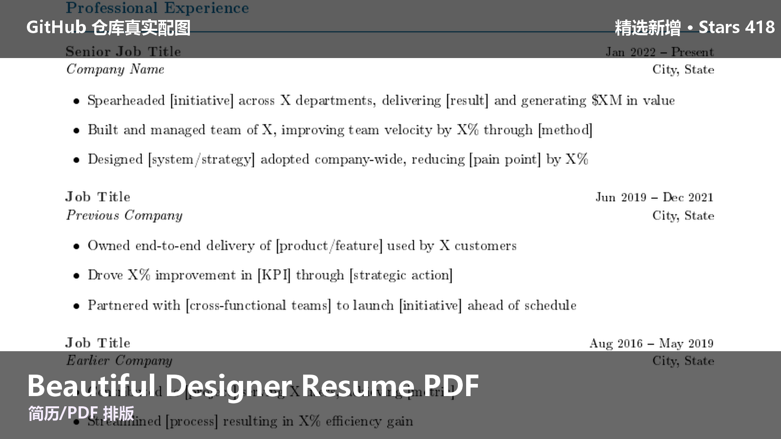 Beautiful Designer Resume PDF 的仓库效果图